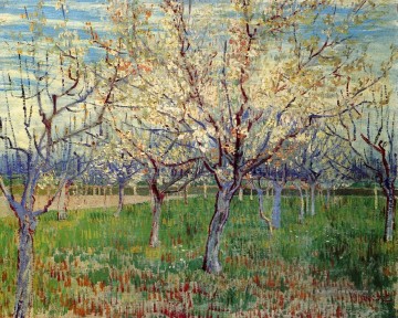  orchard - Obstgarten mit blühenden Aprikosen Bäume Vincent van Gogh